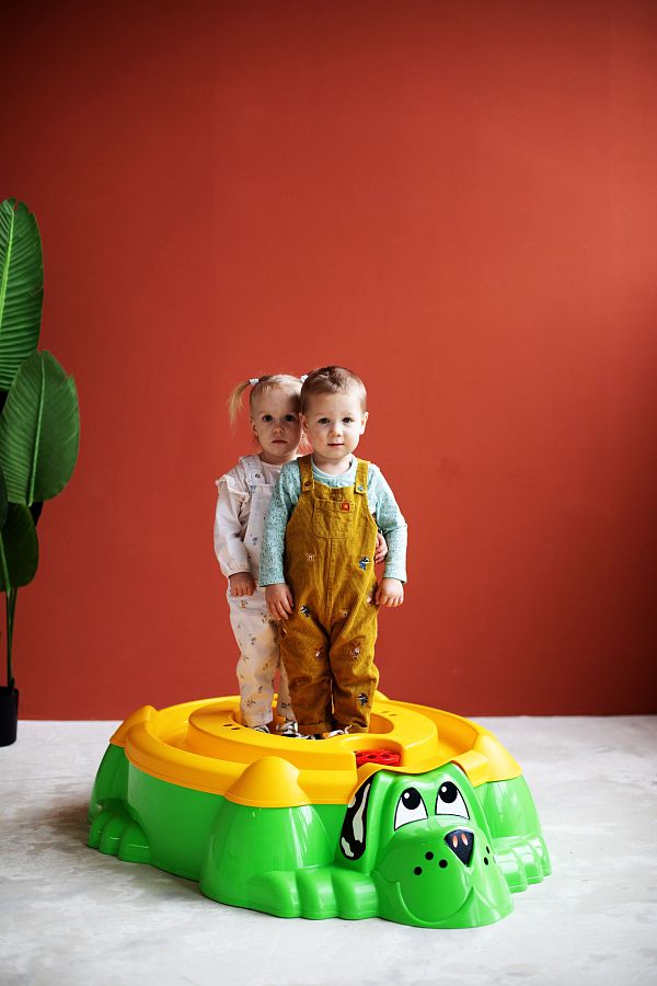 Песочница Sheffilton KIDS  Собачка с крышкой 432 - дополнительное фото