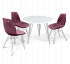Стол со стульями SHT-DS76