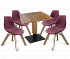 Стол со стульями SHT-DS73